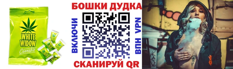 kraken онион  Северск  Canna-Cookies марихуана  как найти закладки 