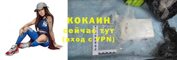 индика Красноперекопск