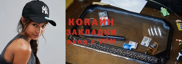 индика Красноперекопск