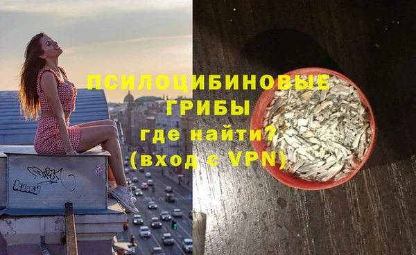индика Красноперекопск