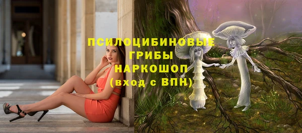 индика Красноперекопск
