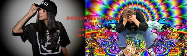 индика Красноперекопск
