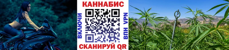Шишки марихуана Bruce Banner Северск